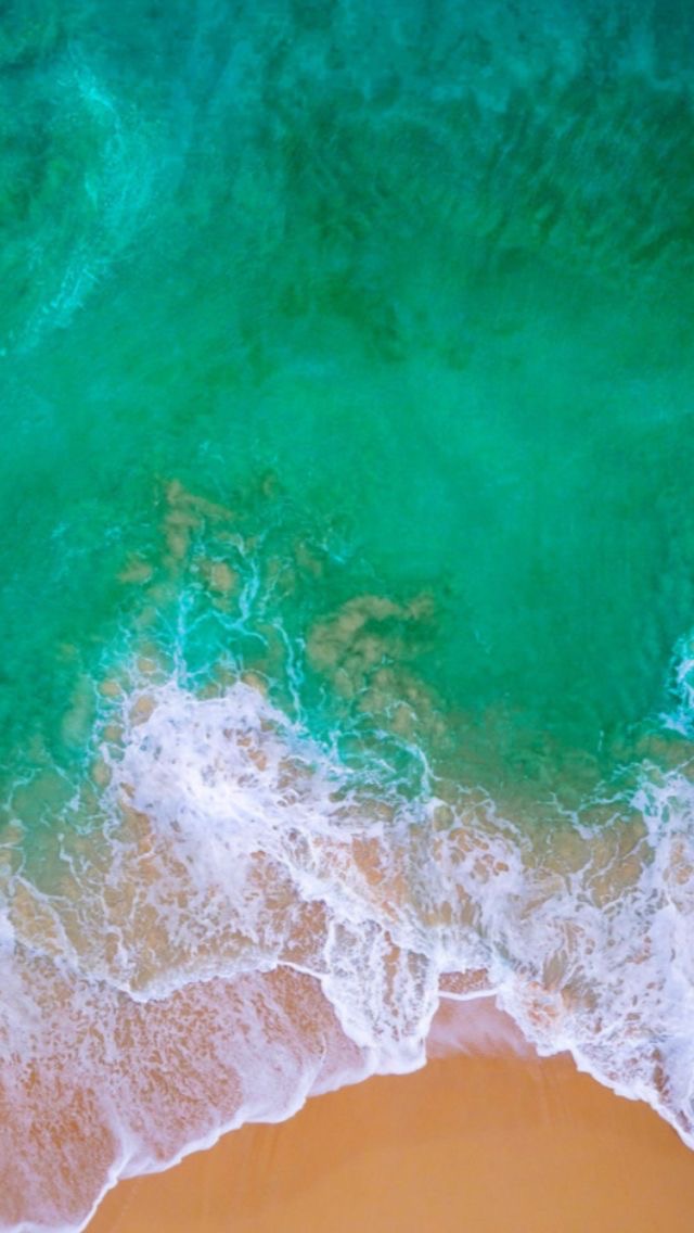 دكتور علاءالدين عبدالقوي