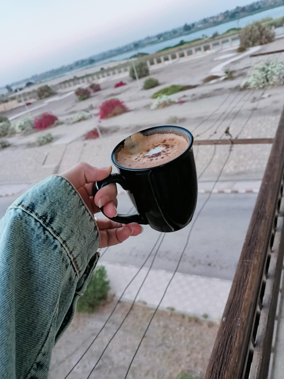 معمل تيست لميا